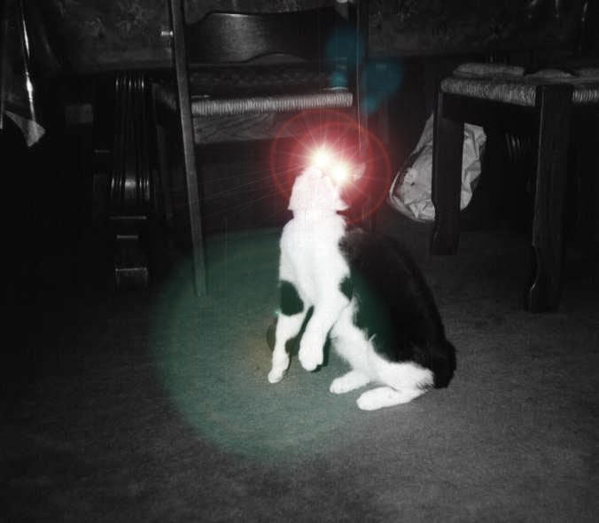 Lichtgevende ogen